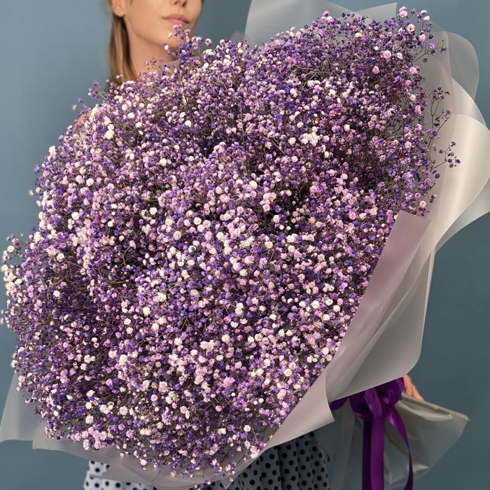 51 фиолетовая гипсофила